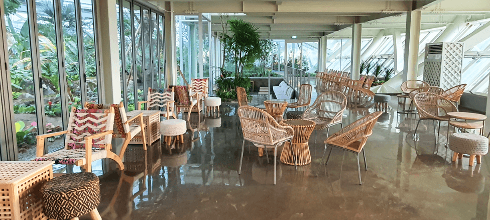 수피아테마카페