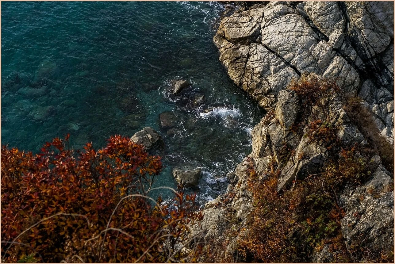 기업은행 정기예금 금리