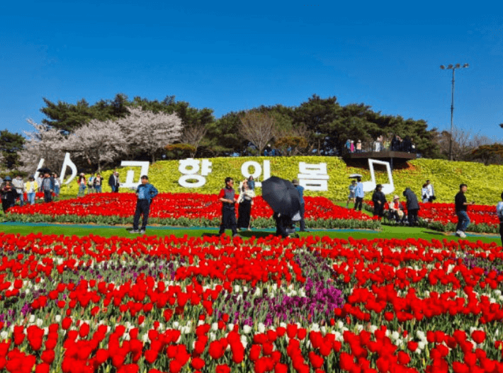 에버랜드 자유이용권