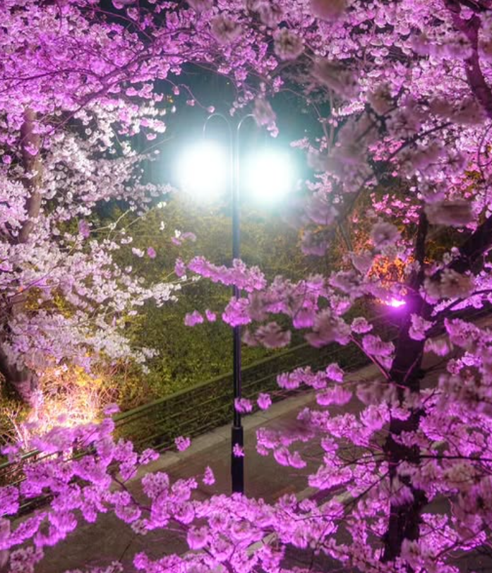 대구 이월드 자유이용권 할인