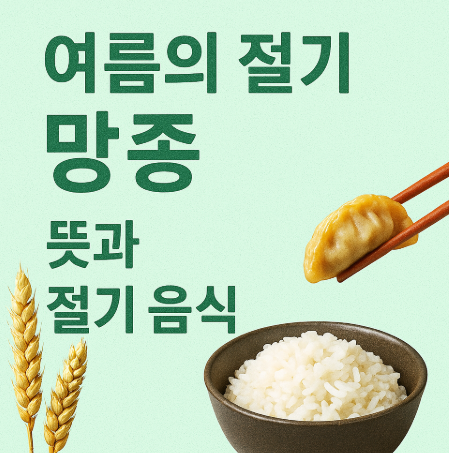 망종의 뜻과 절기 음식에 대한 주제 이미지