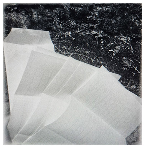 미치오 슈스케 작가의 절벽의 밤 소설 삽화