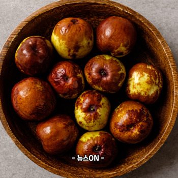 사과대추 보관법