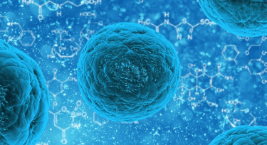 sk바이오팜 주가