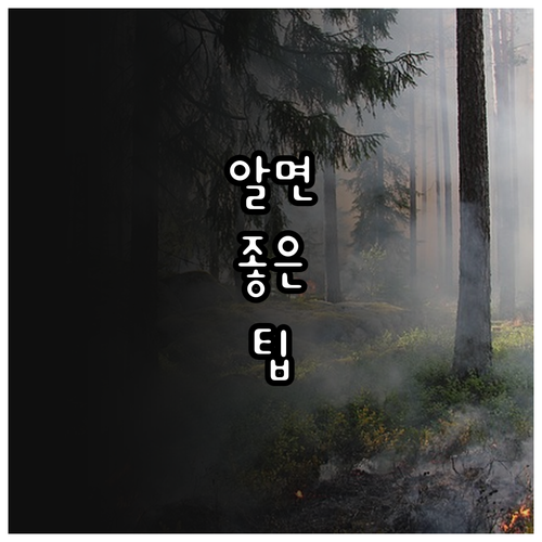 2025년 수원 111CM 문화 공간..