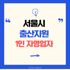 서울시출산지원