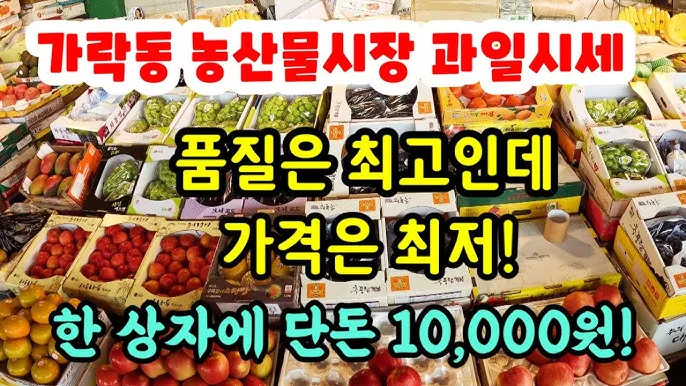 가락동 농산물 경매시세 실시간 확인 완벽 농산물 정보_4
