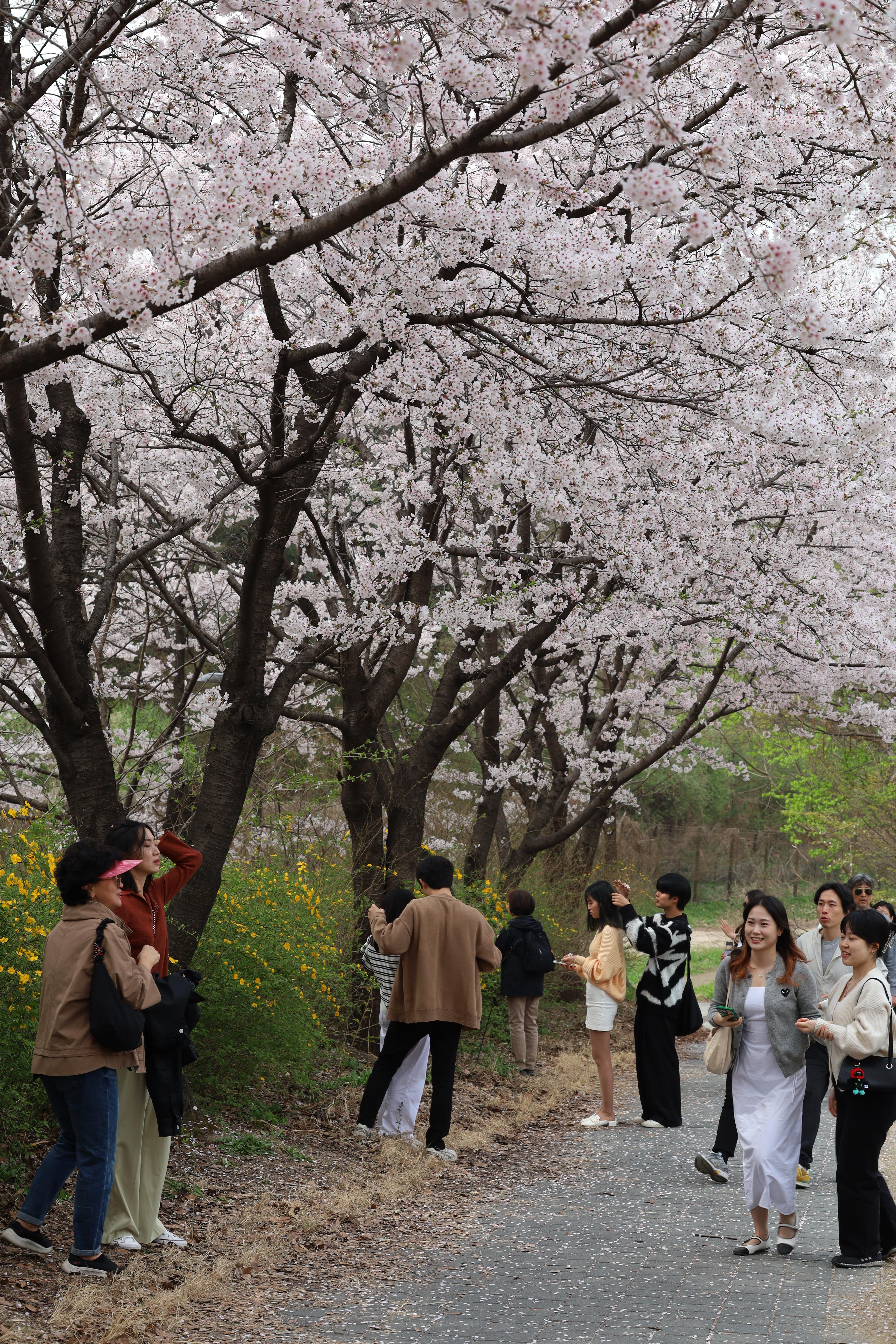 마우스 우클릭, 다른 이름으로 사진 저장 img |무료 이미지 다운로드