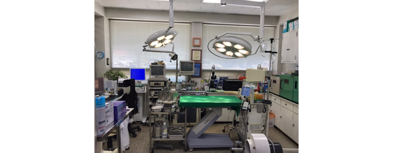 공주시 동물병원