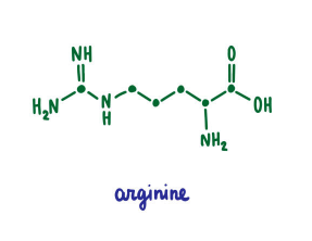 아르기닌 부작용, 아르기닌의 효능, 복용법 총정리 (2025ver)