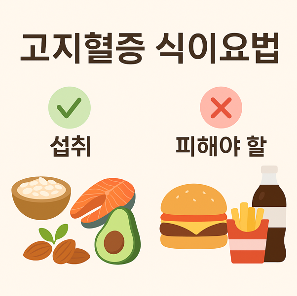 고지혈증 관리&amp;#44; 식단만 바꾸면 안 되는 이유