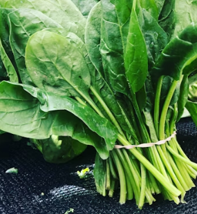 혈압 정상 수치 낮추는 법