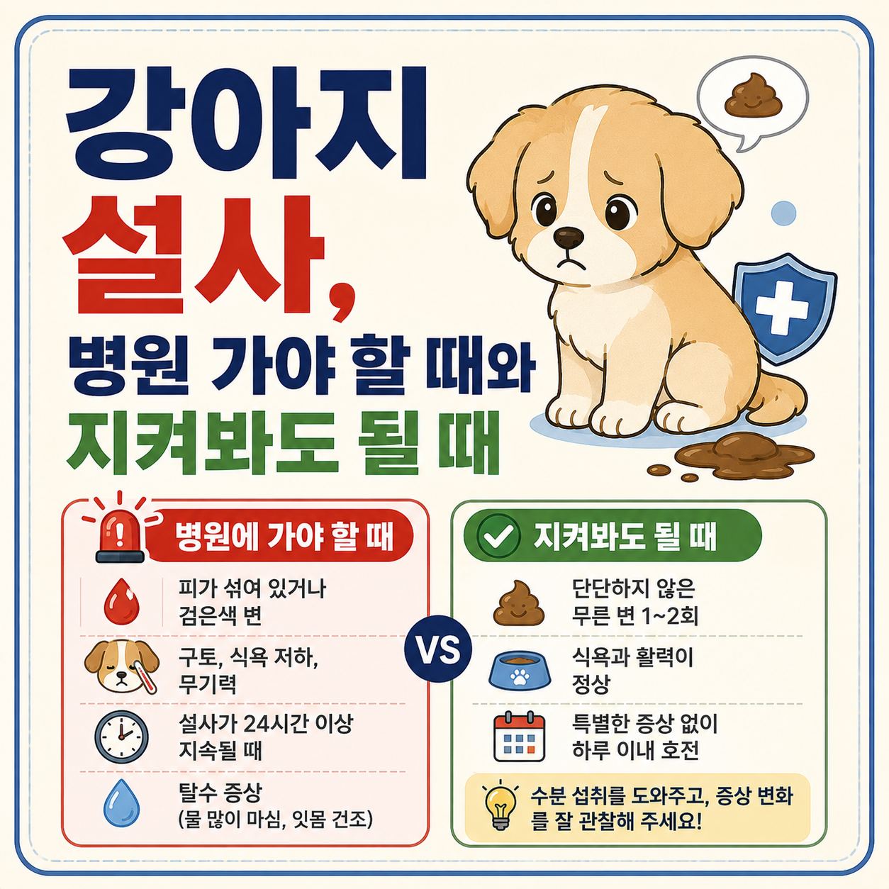 강아지 설사