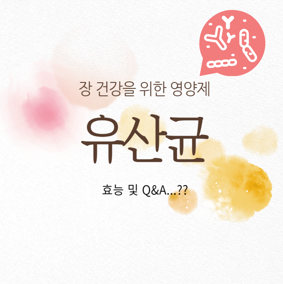 유산균 영양제 추천: 장 건강을 위한 필수 정보