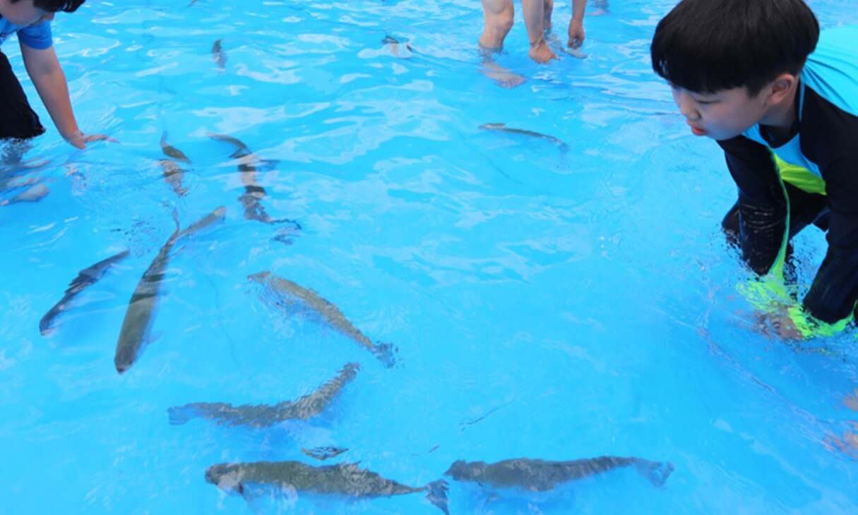 2024-평창더위사냥축제