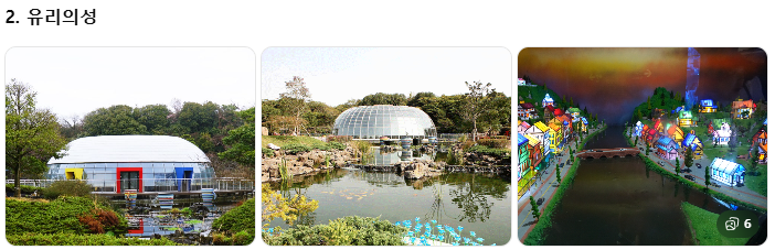 제주 쏠라티&middot;카니발 투어 비교! 기사 포함 제주 승합차투어 요금&middot;코스&middot;후기 총정리