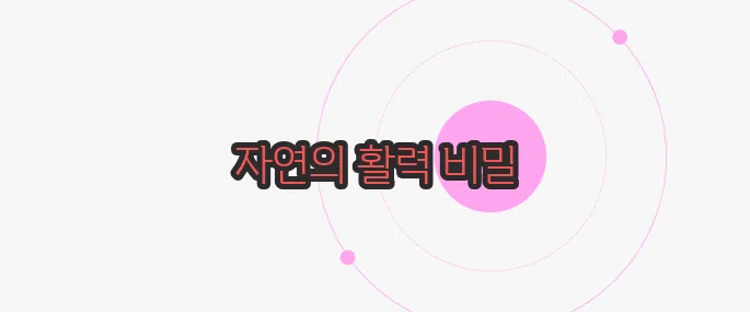 가시오가피 효능 이보다 자세히 설명할순없다
