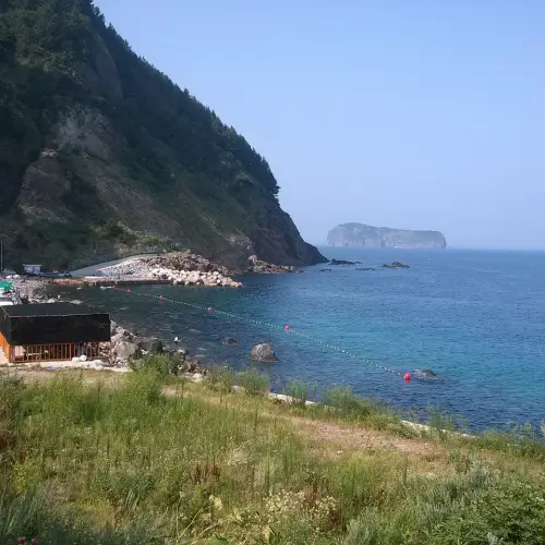 강릉 울릉도 배편