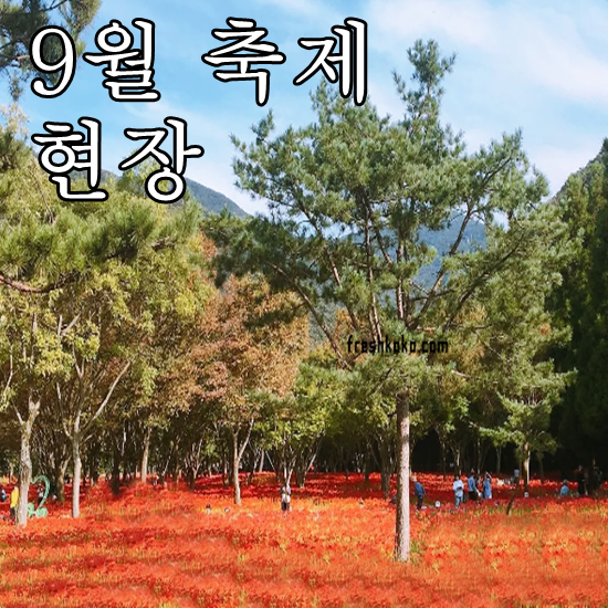 9월 축제 가볼만한곳