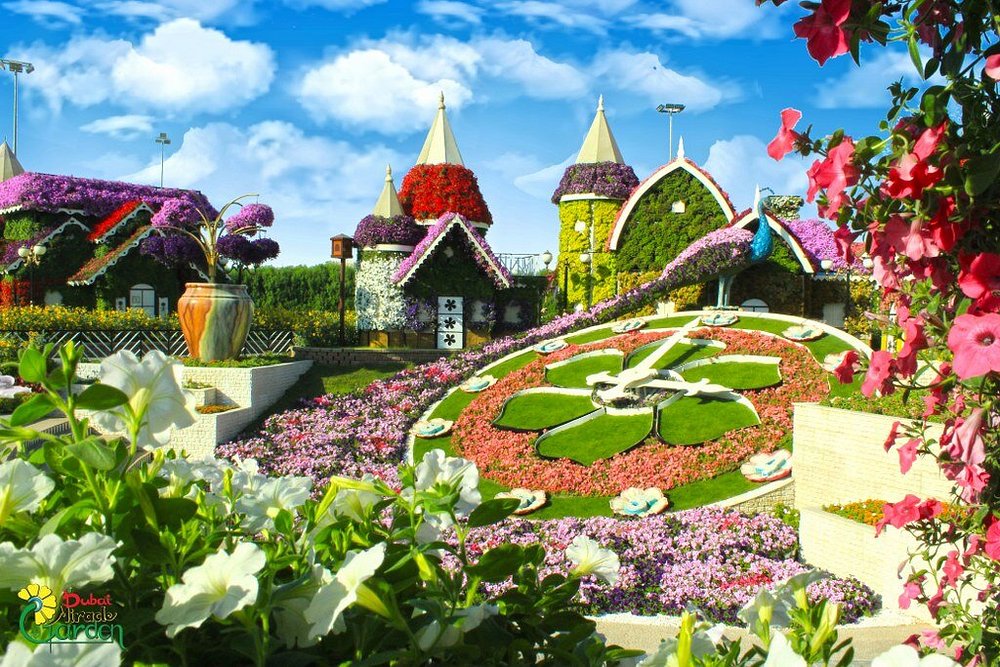 두바이 미라클 가든 (Dubai Miracle Garden)