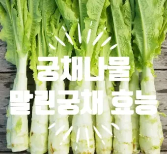 궁채나물 레시피 맛있는 조리법_3