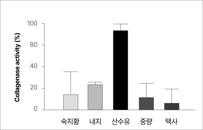 산수유의 청신경보호효과