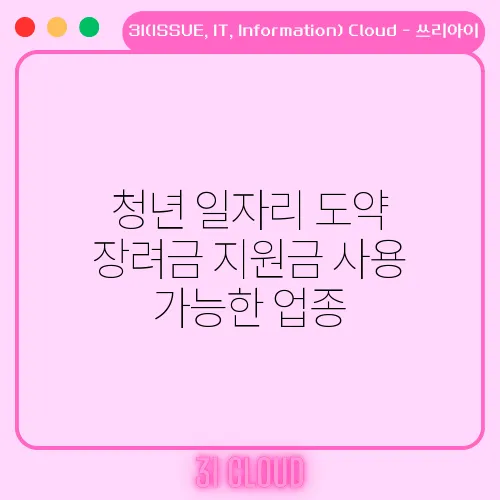 청년 일자리 도약 장려금 지원금 사용 가능한 업종