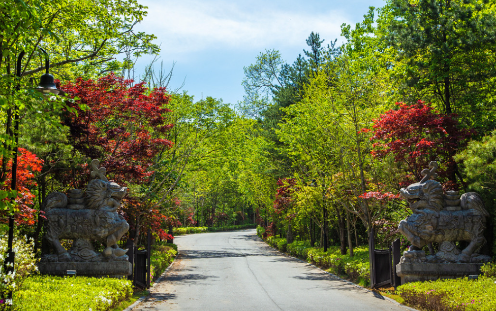 청리움 예약 일정