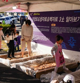 김해분청도자기축제