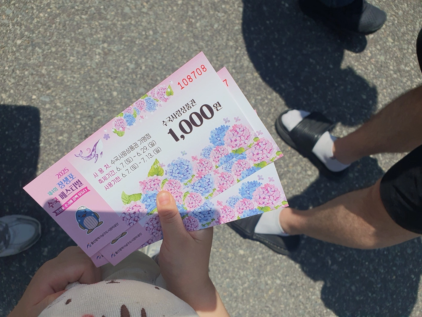 장생포 수국축제에서 여름을 만끽하다! 울산 고래문화마을 수국 명소 추천