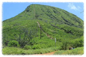 코코 크레이터 레일웨이 트레일