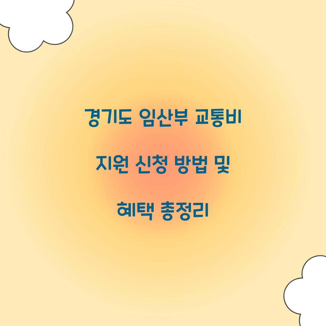 경기도 임산부 교통비 지원