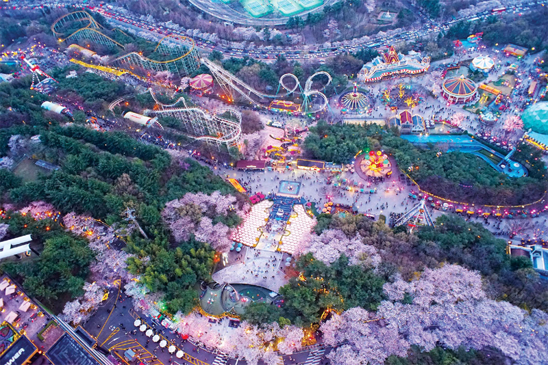 지역별 벚꽃 명소