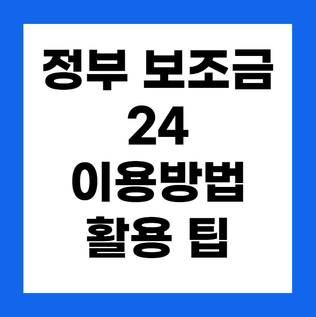 정부 보조금 24 : 이용 방법 및 활용 팁