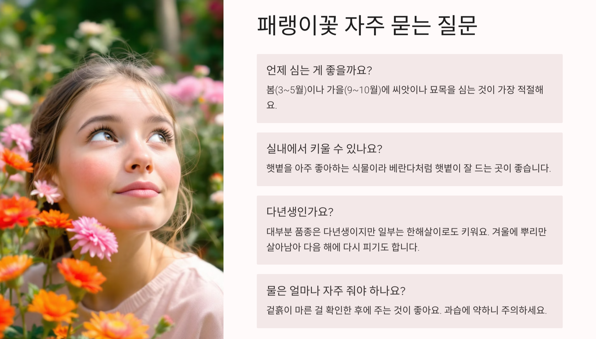 패랭이꽃