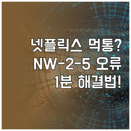 인터넷 연결 끊김으로 인한 넷플릭스 ..