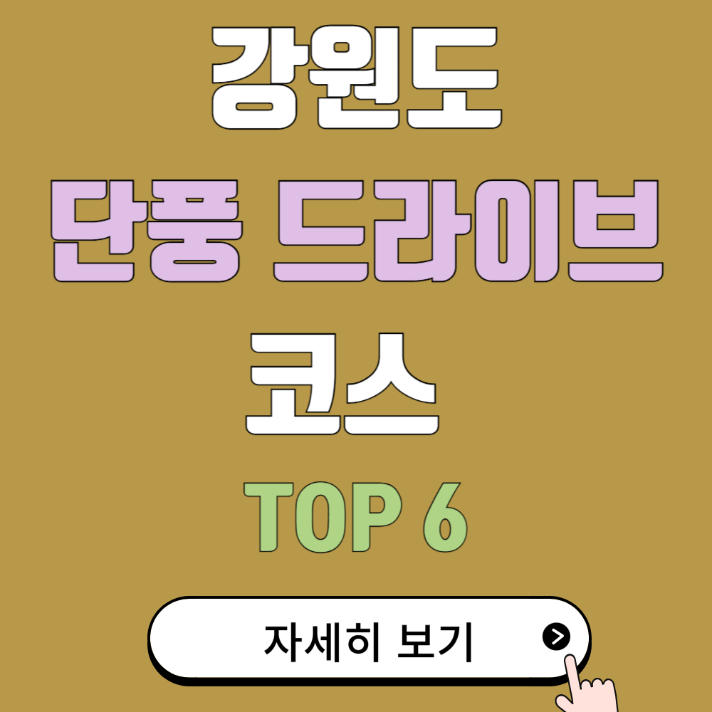 강원도 단풍 드라이브 코스 추천 TOP 6
