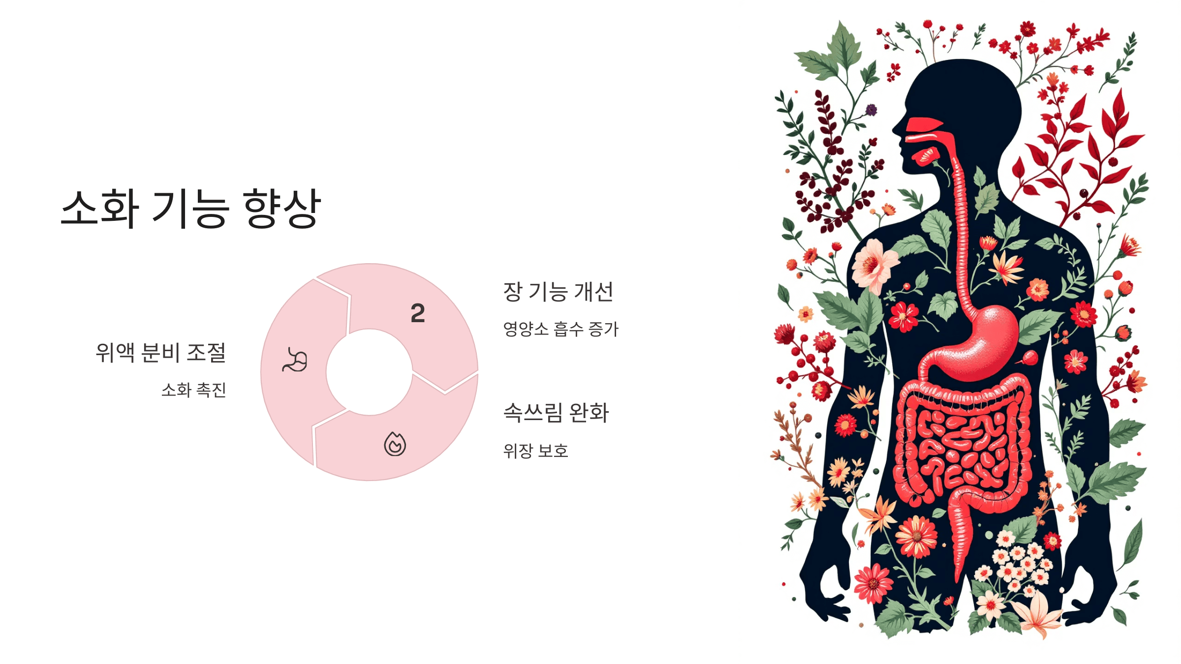 오미자 사진입니다.