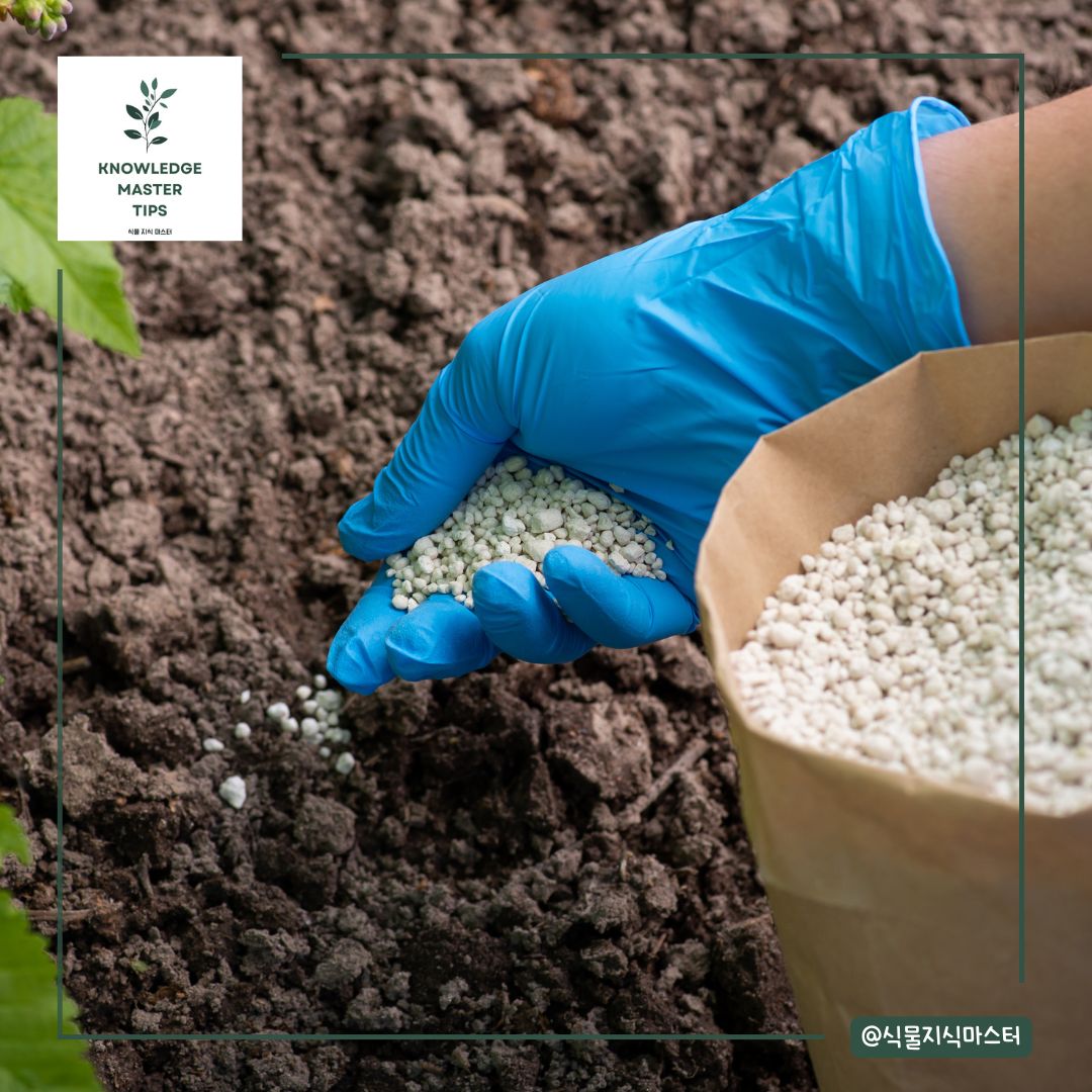 밭 준비가 재배의 시작