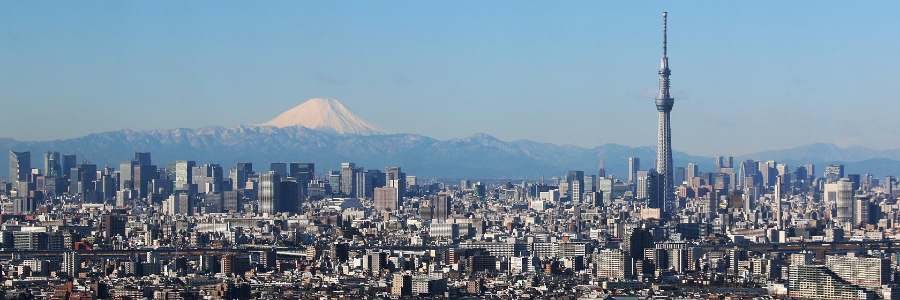 일본 도쿄로 다시 가고 싶은 3박 4일 여행기