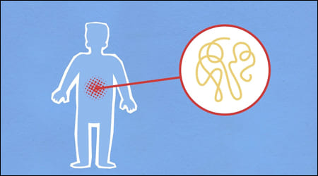 사람의 신체 일러스트