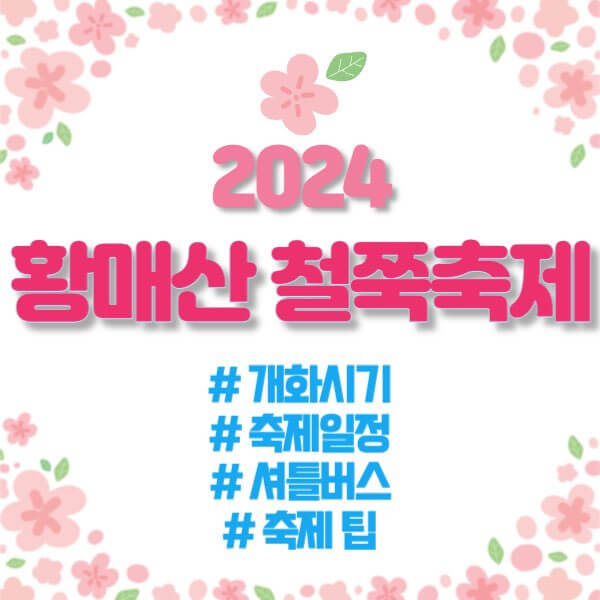 2024 황매산 철쭉축제 주차장, 셔틀버스와 축제팁