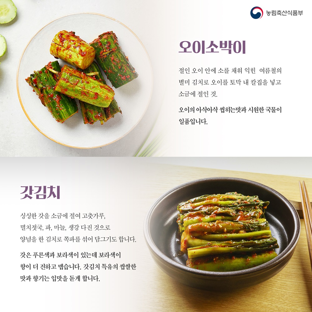 김치의 날 카드뉴스5