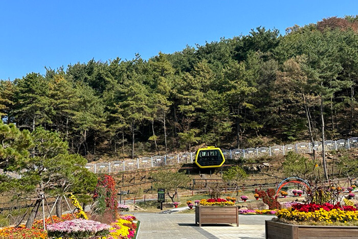 가을 섬^ 교동도&amp;#44; 대부도&amp;#44; 금오도&amp;#44; 조도&amp;#44; 추자도&amp;#44; 5개의 섬 여행