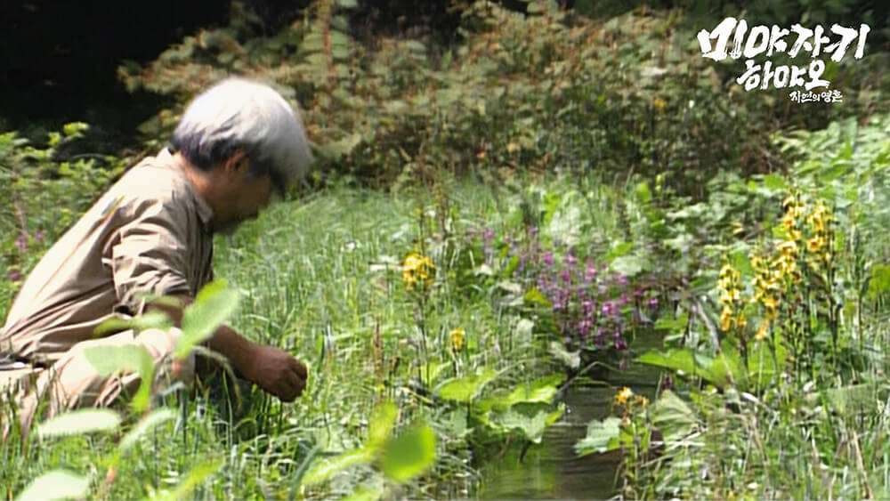 하천 물줄기를 바라보는 미야자키 하야오 감독
