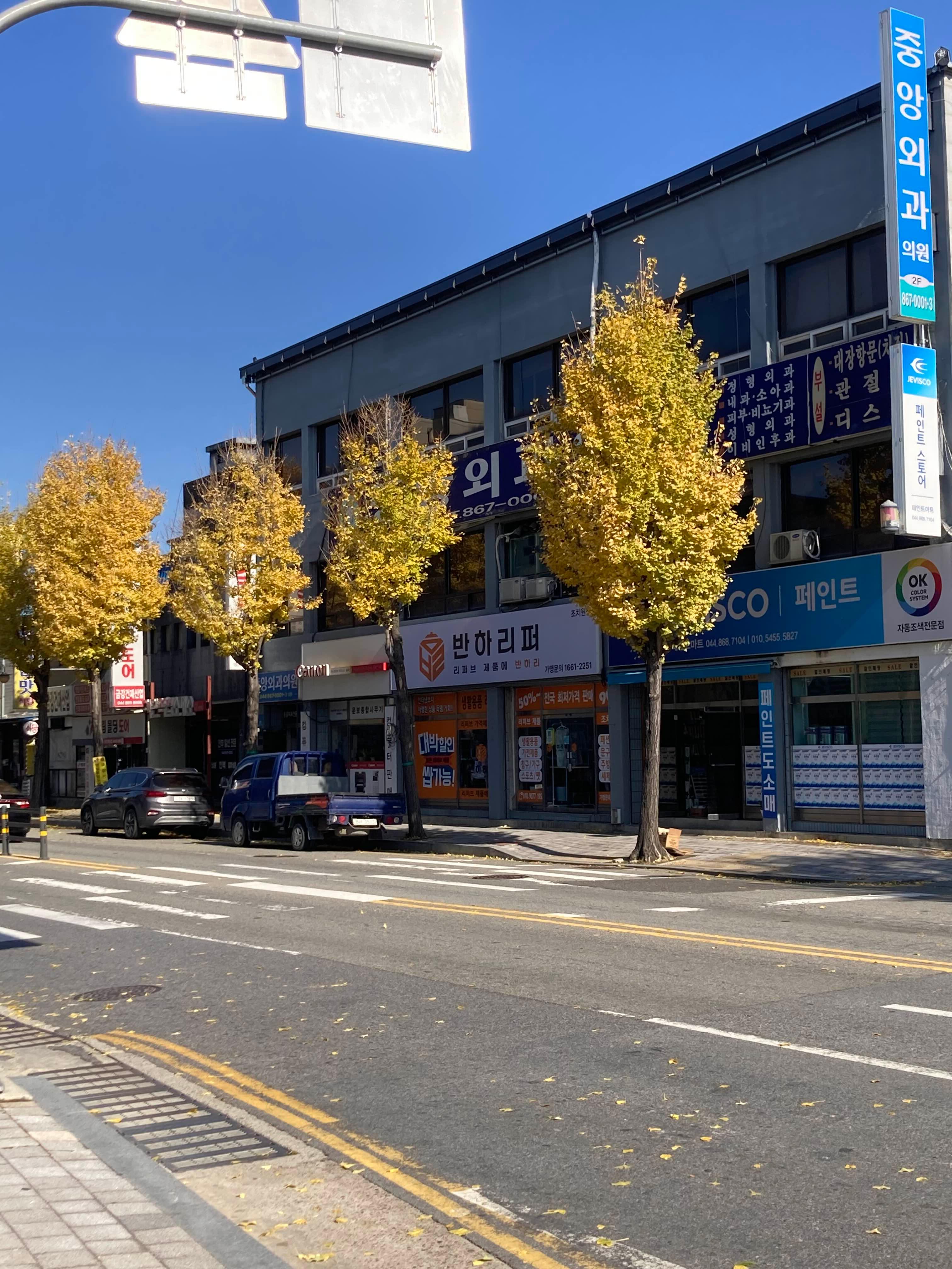 세종전통시장