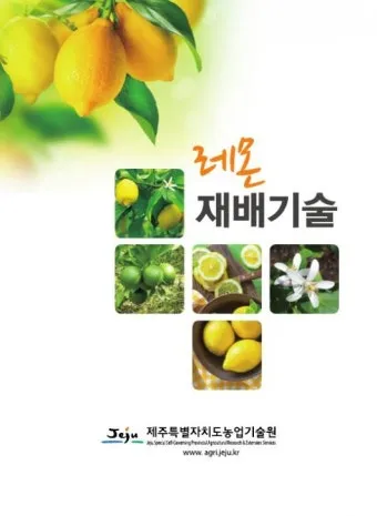 레몬 재배 화분 재배 실내 월동 가지 치기_5