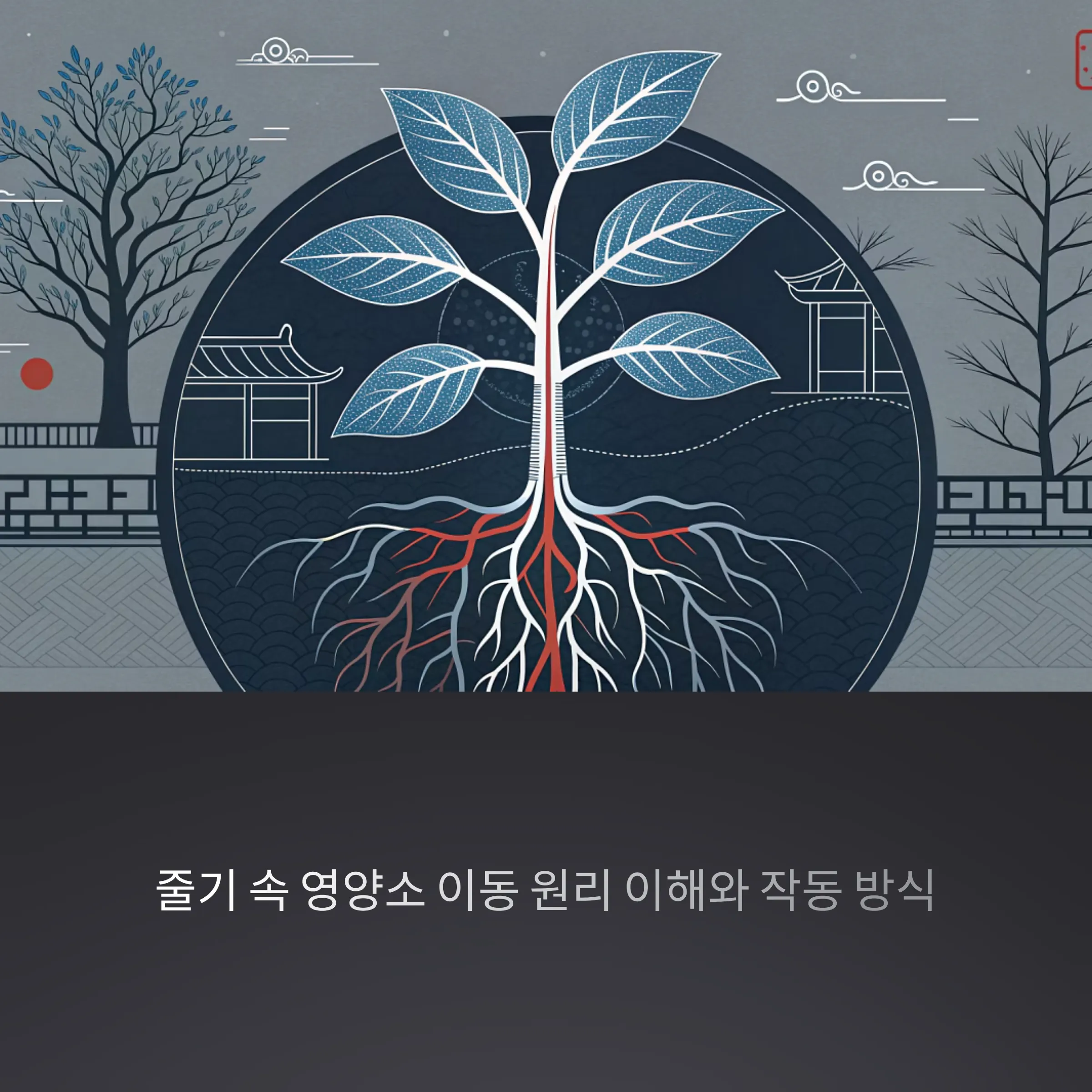 줄기 속 영양소 이동 원리 이해와 작동 방식