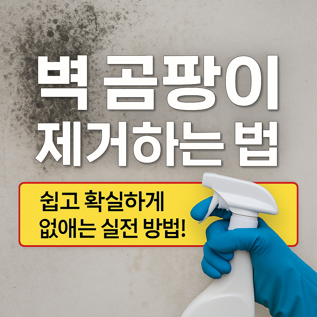 벽 곰팡이 제거 하는 법