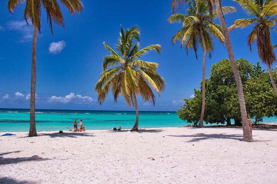 해외여행지 관련 사진